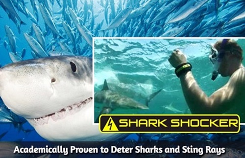 Shark Shocker