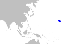Etmopterus villosus